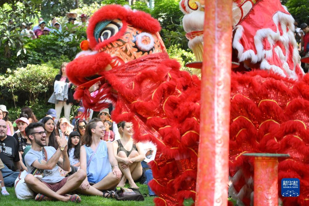 足球平台出租网